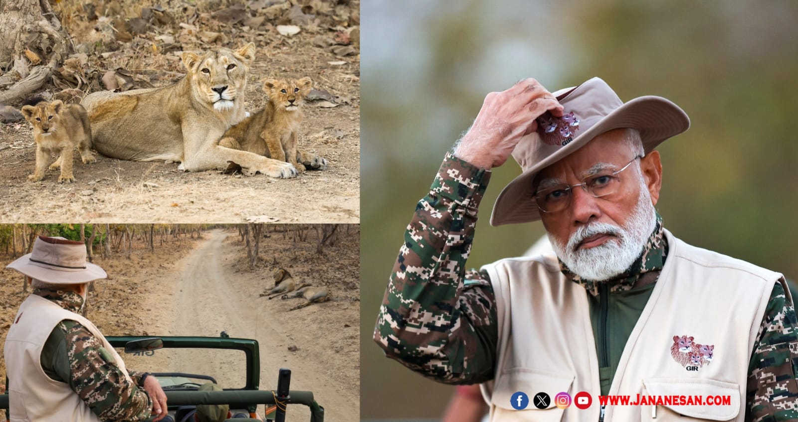 உலக வனவிலங்கு தினம் – குஜராத் கிர் தேசிய பூங்காவில் பிரதமர் மோடி லயன் சஃபாரி..!